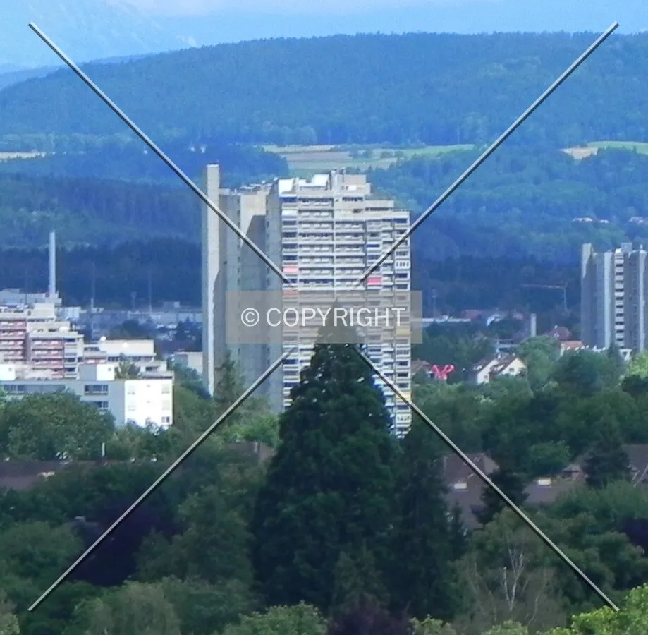 Photo 116-205-579