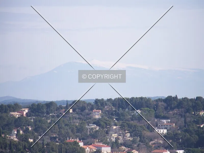 Photo 116-287-794