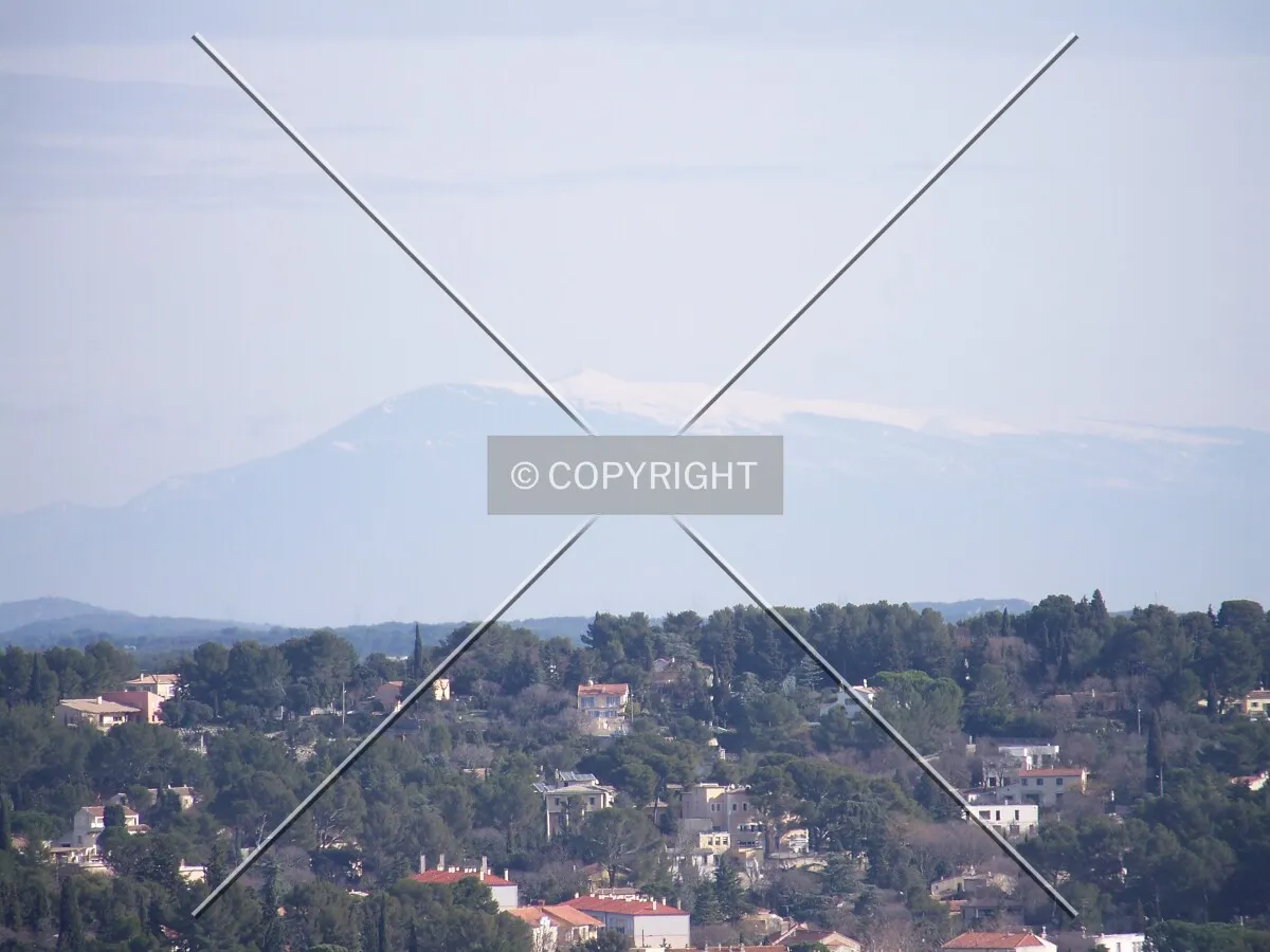Photo 116-287-794
