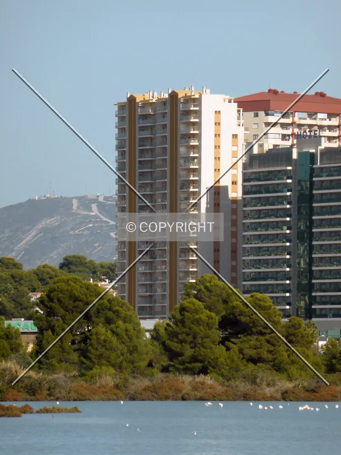 Photo 116-349-290