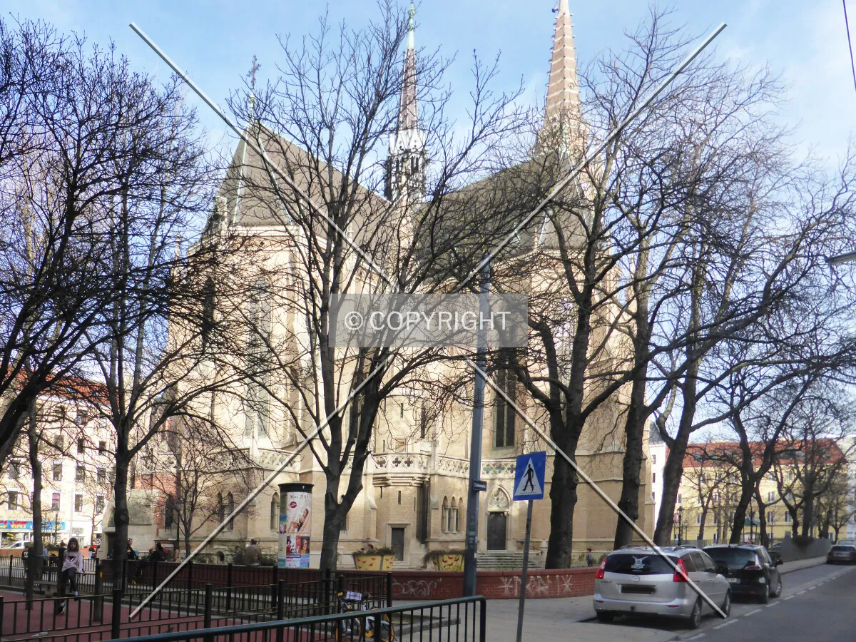 Photo 116-377-218