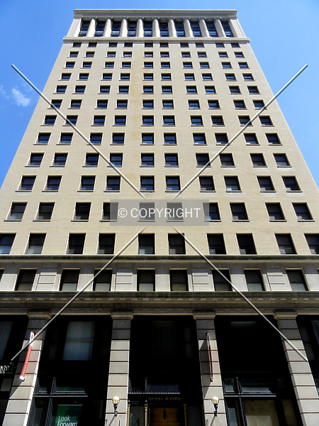 Photo 117-036-398
