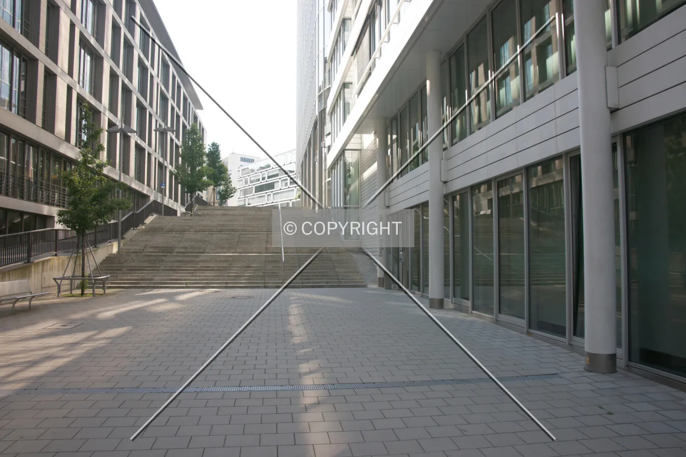 Photo 117-235-791