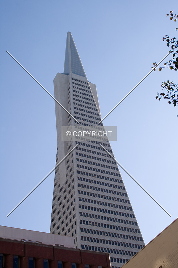 Photo 117-727-765