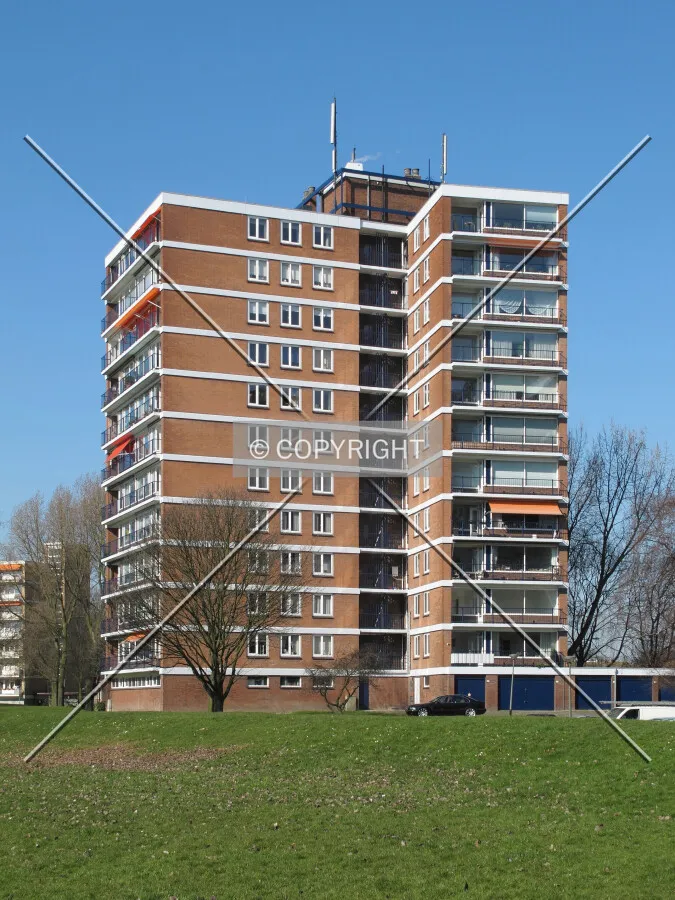 View from the southeast