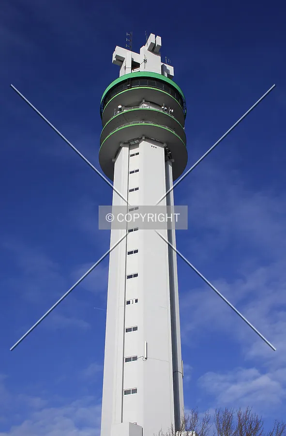 Looking up from Kanaelsdijk