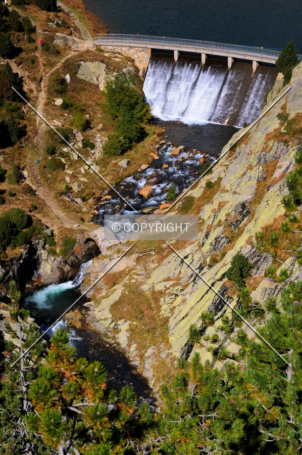 Nuria's dam