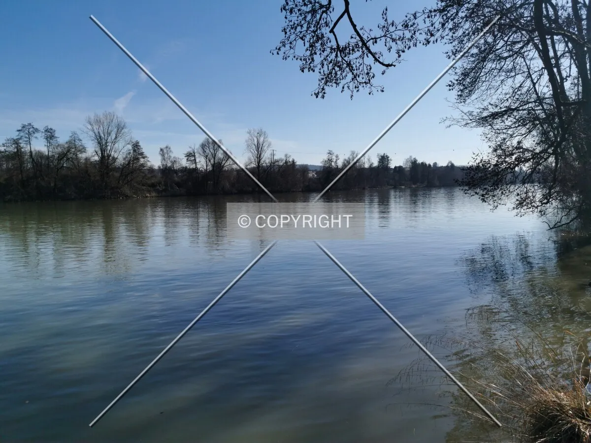 Photo 119-250-371