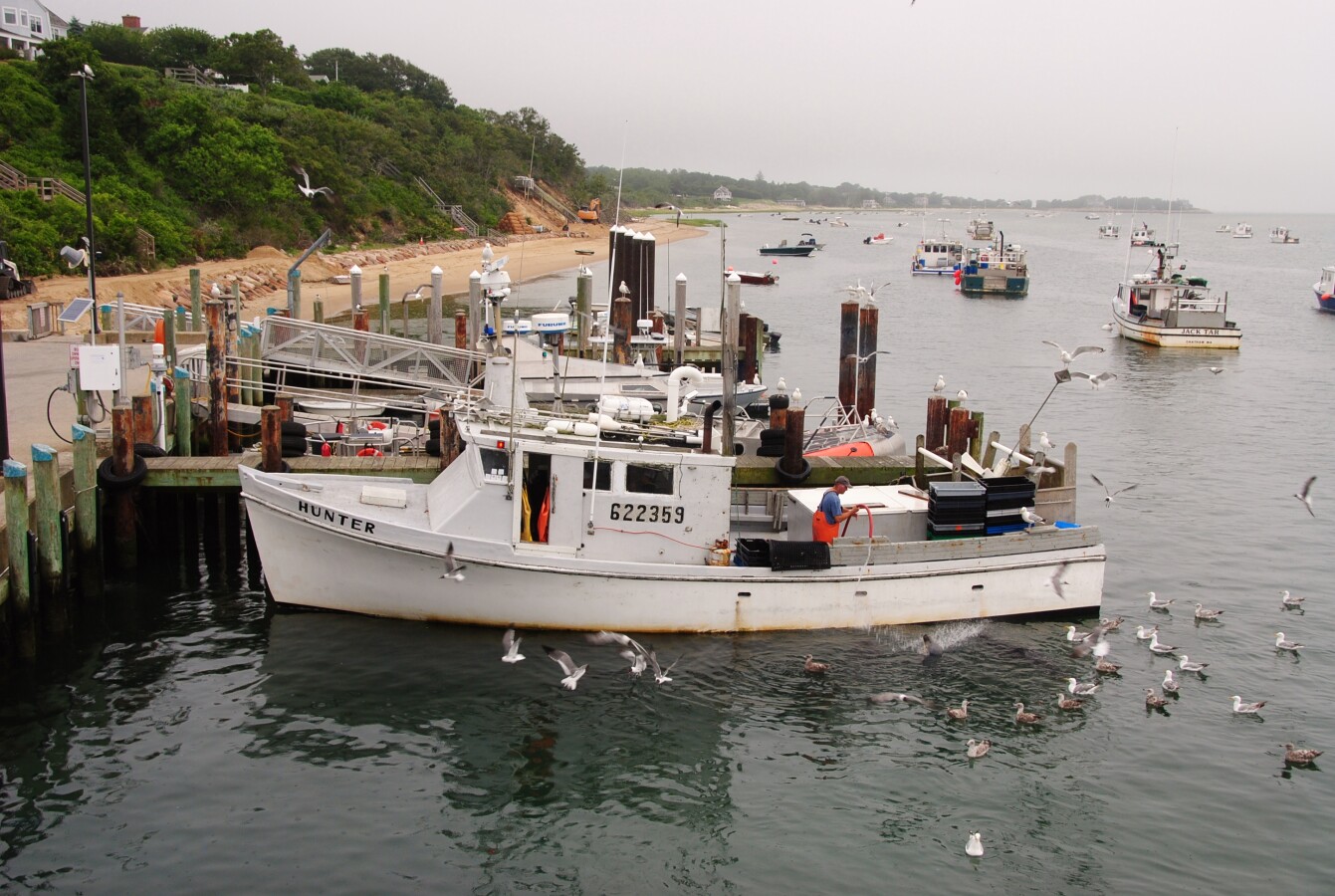 Fishing boats at the dock