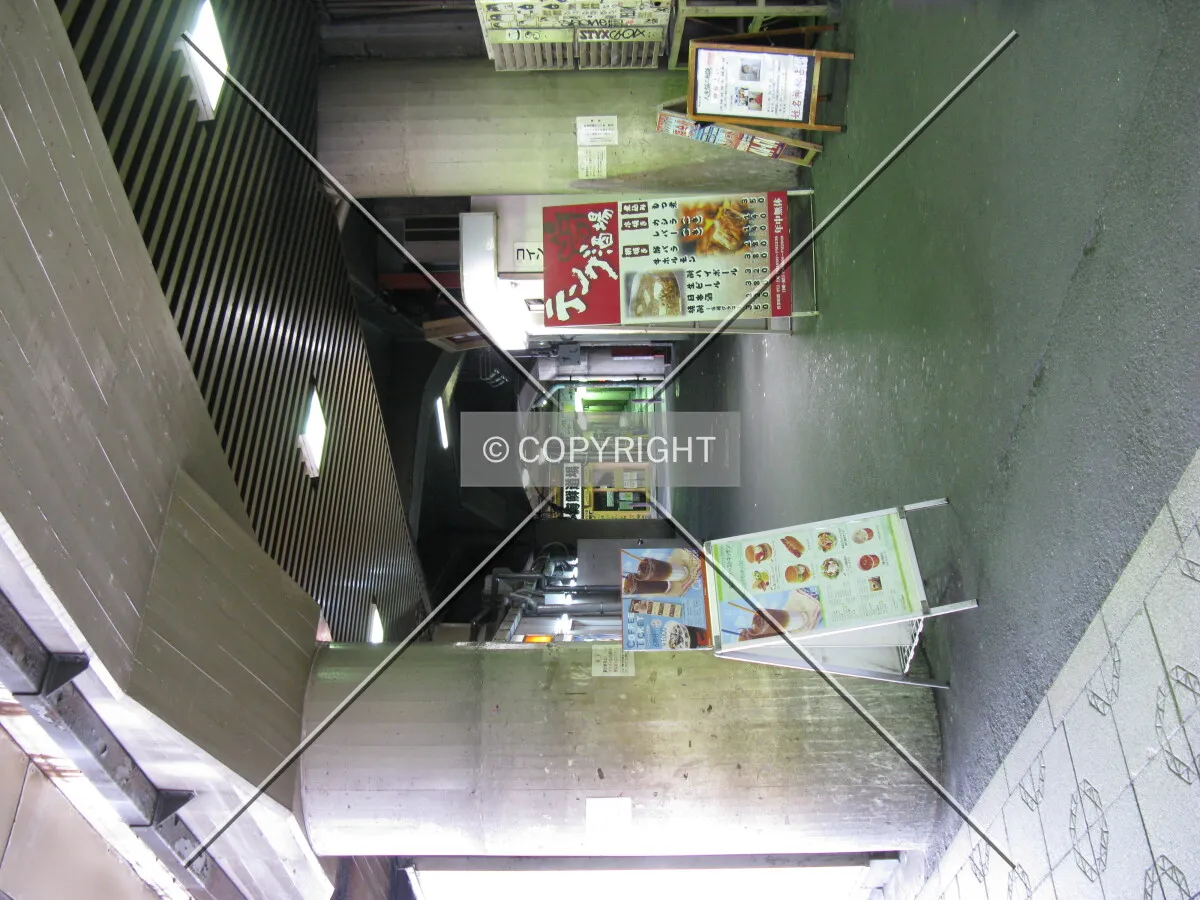 Photo 119-478-752