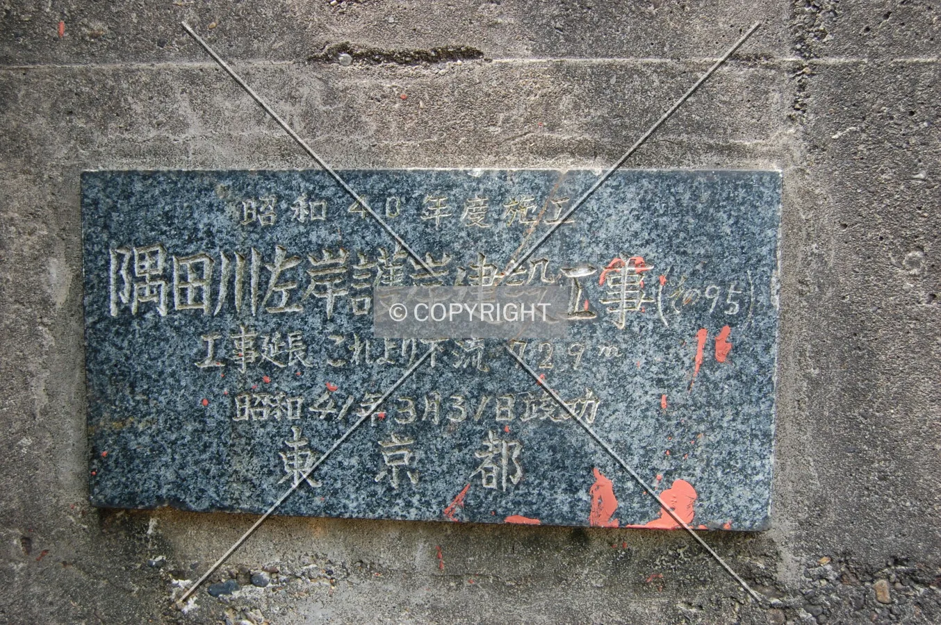 Photo 119-517-247