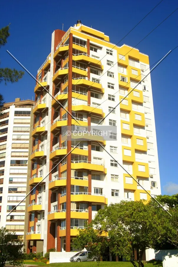 Looking up from across Carlos Barbosa Avenue