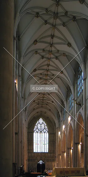 Photo 119-718-463