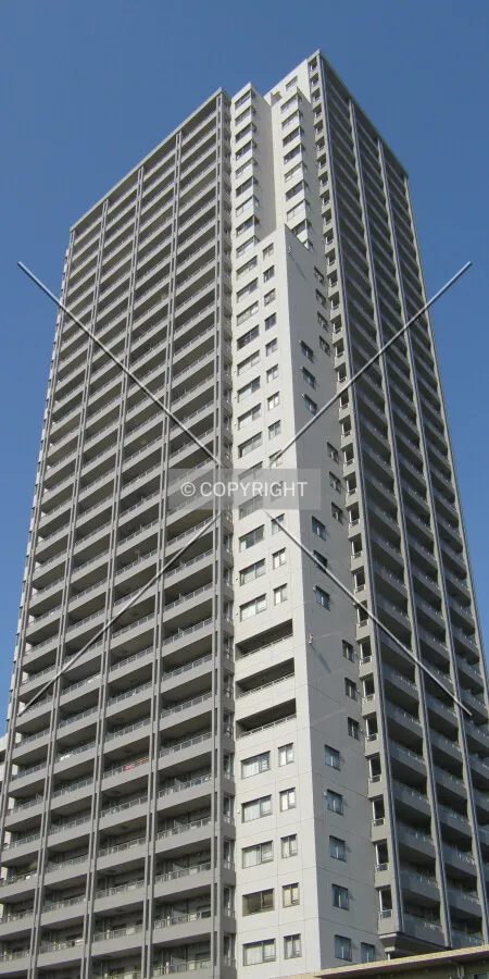 View from the southeast
