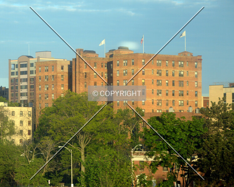 Photo 119-834-082