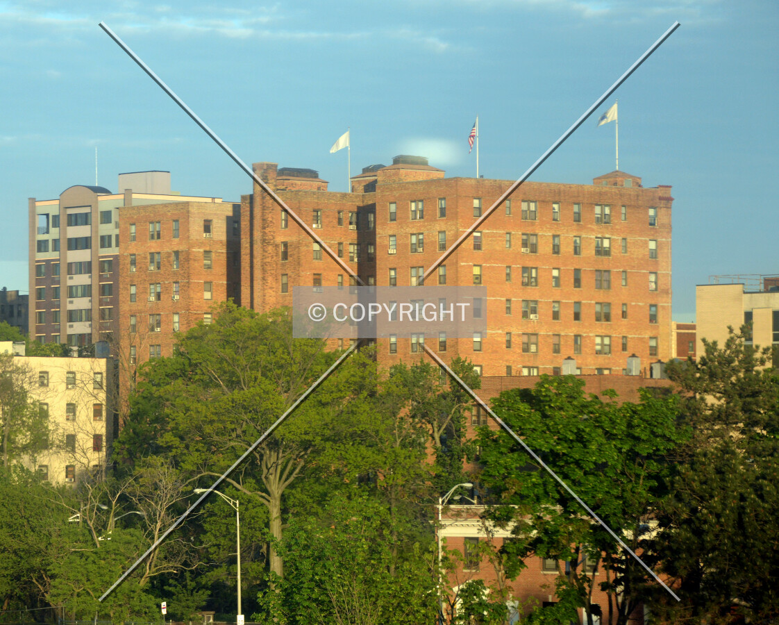 View from the northeast