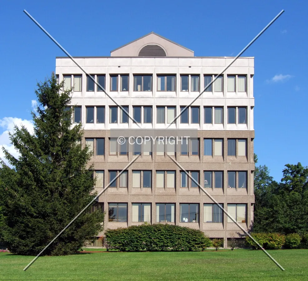 View from the west