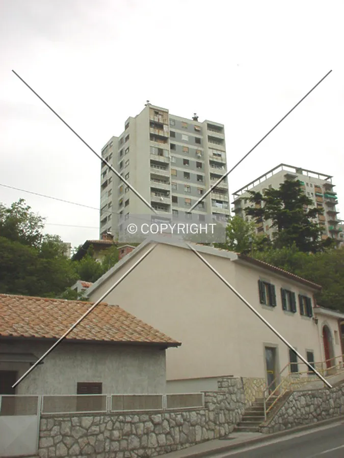 Photo 120-053-985