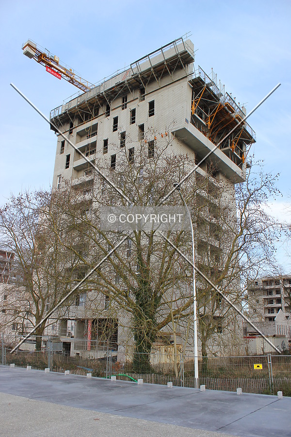 Photo 120-185-710
