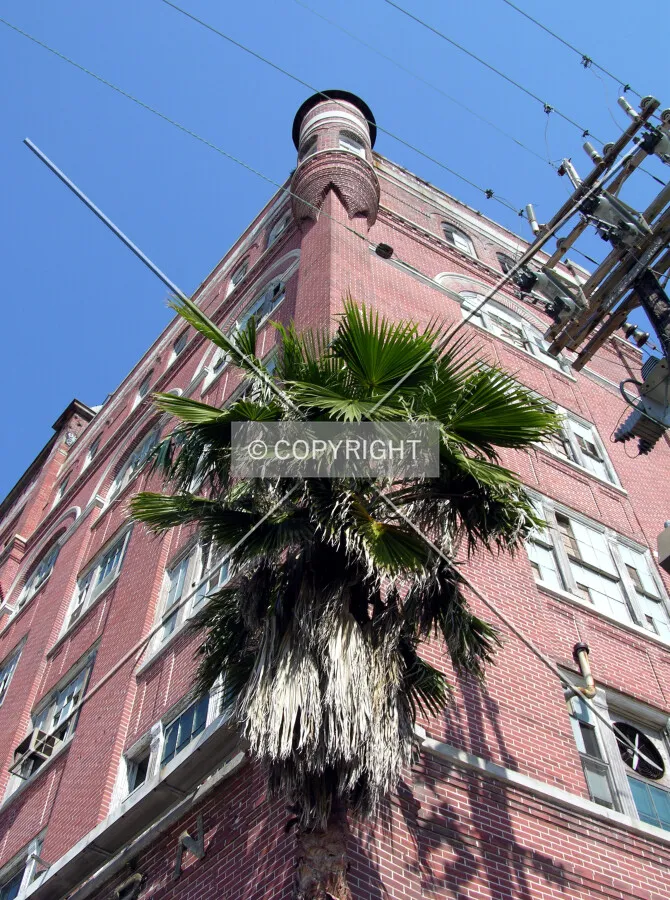 Looking up the southwest corner from Tulane Avenue