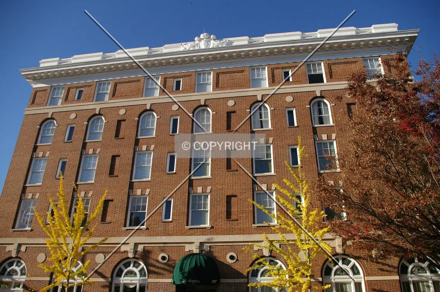 Photo 120-295-526