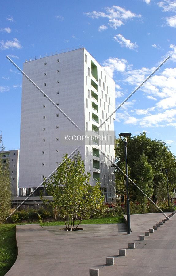 Photo 120-331-810