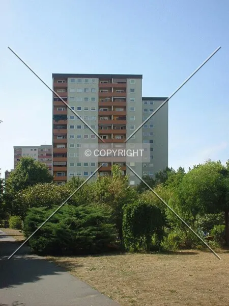 Photo 120-432-679