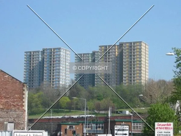 View from Suffolk Road