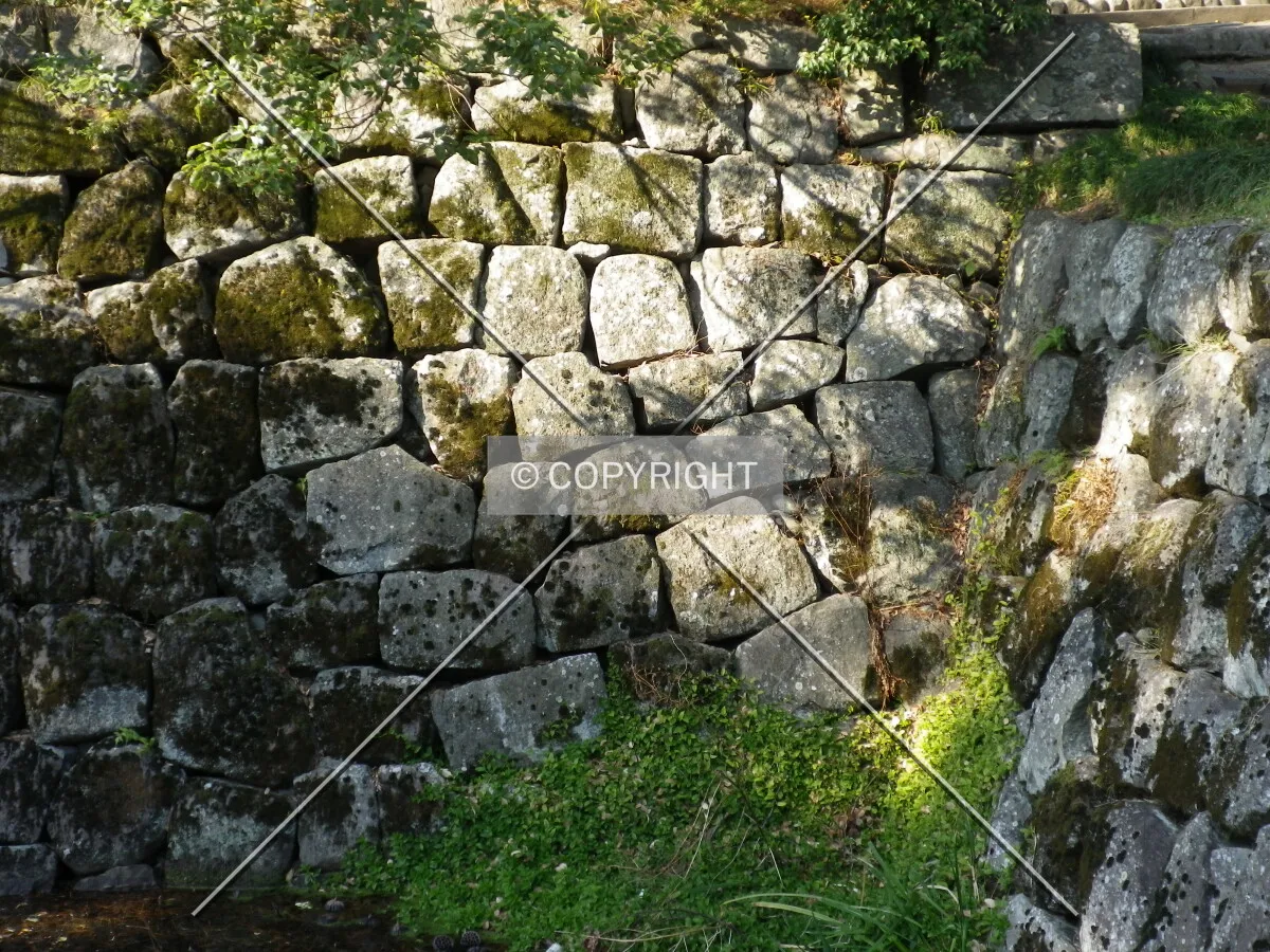 Photo 121-269-794