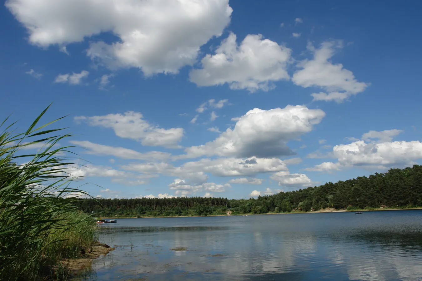 Photo 121-310-657