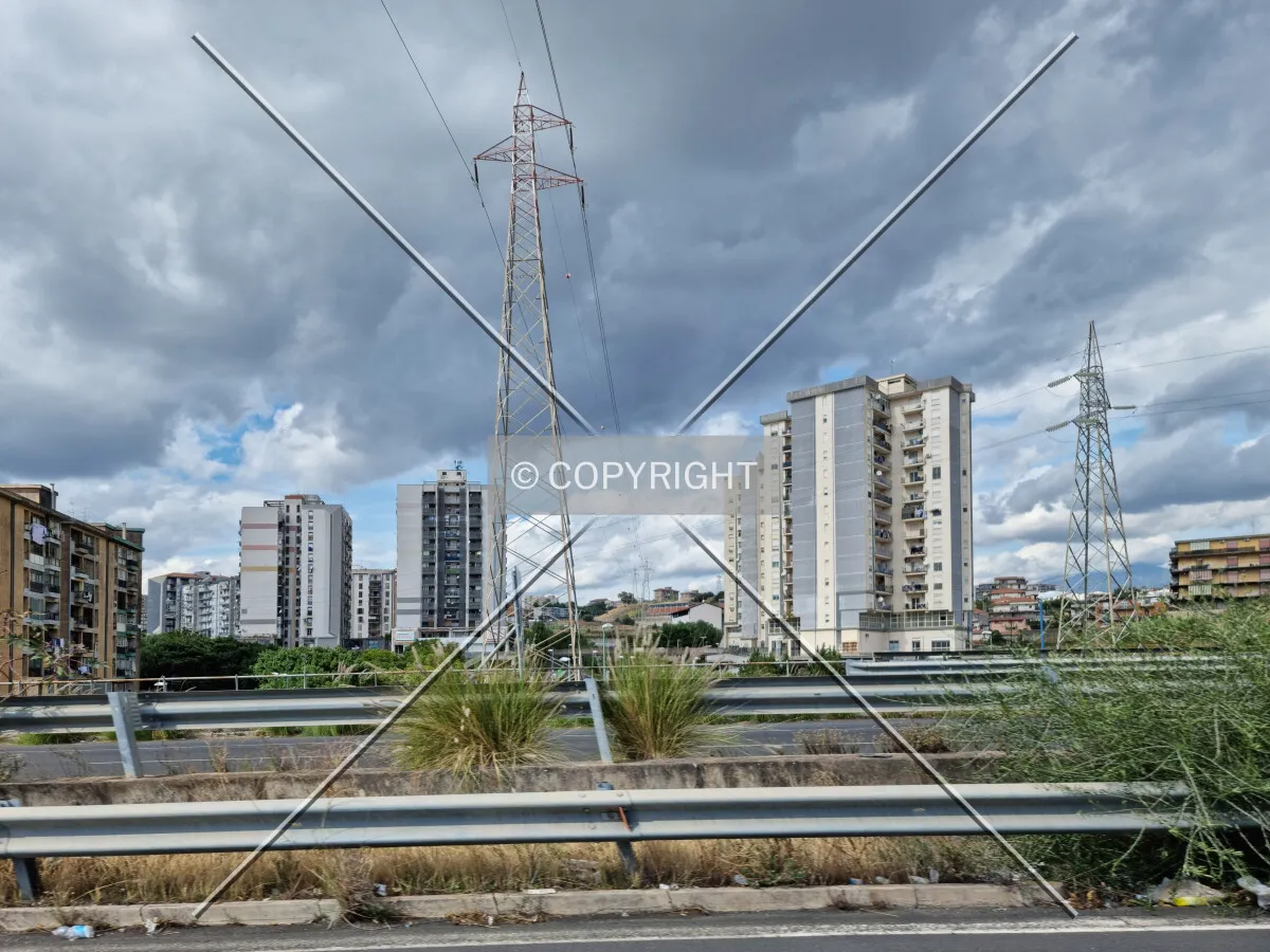Photo 121-341-564