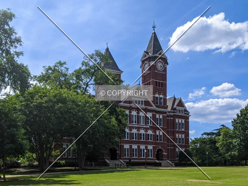 Photo 121-420-475