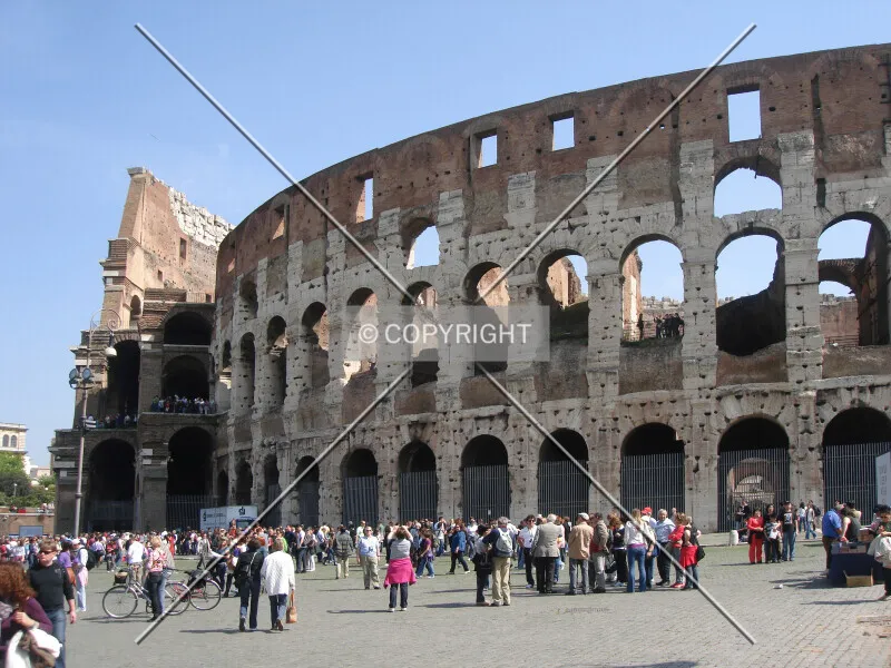 Photo 121-508-806
