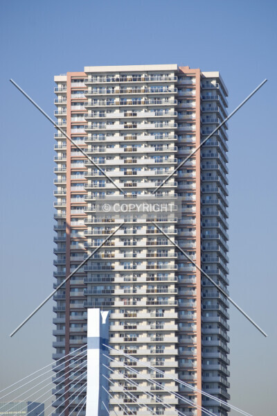 Photo 121-593-137