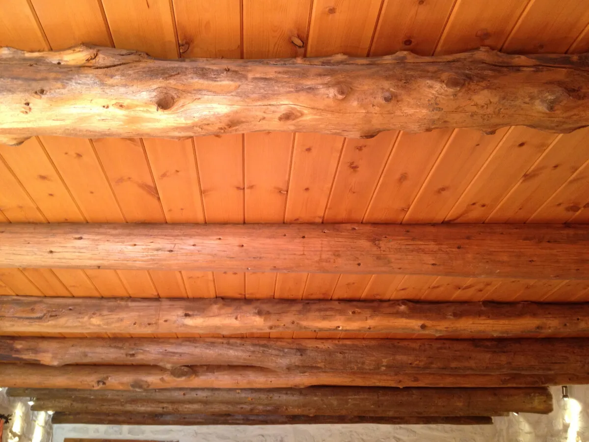 Photo 121-721-763