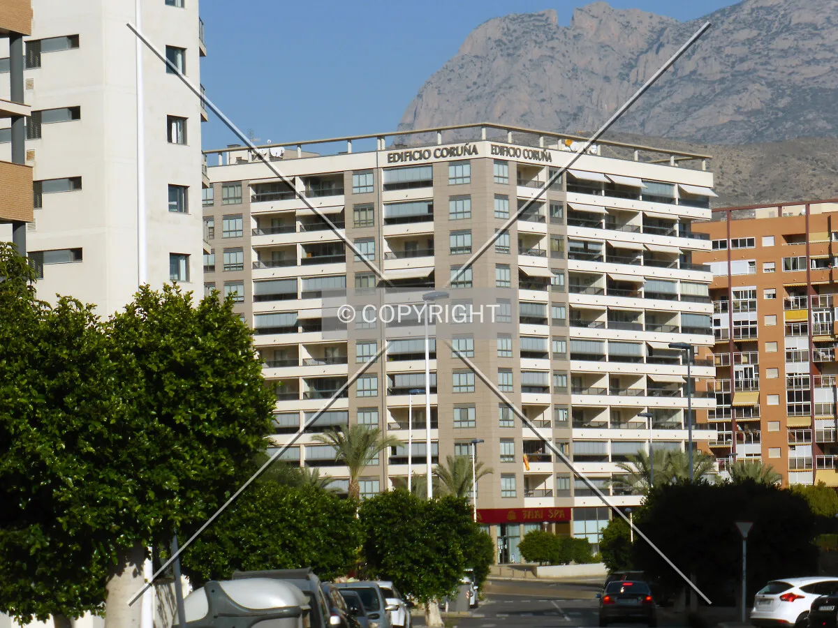 Photo 121-769-006