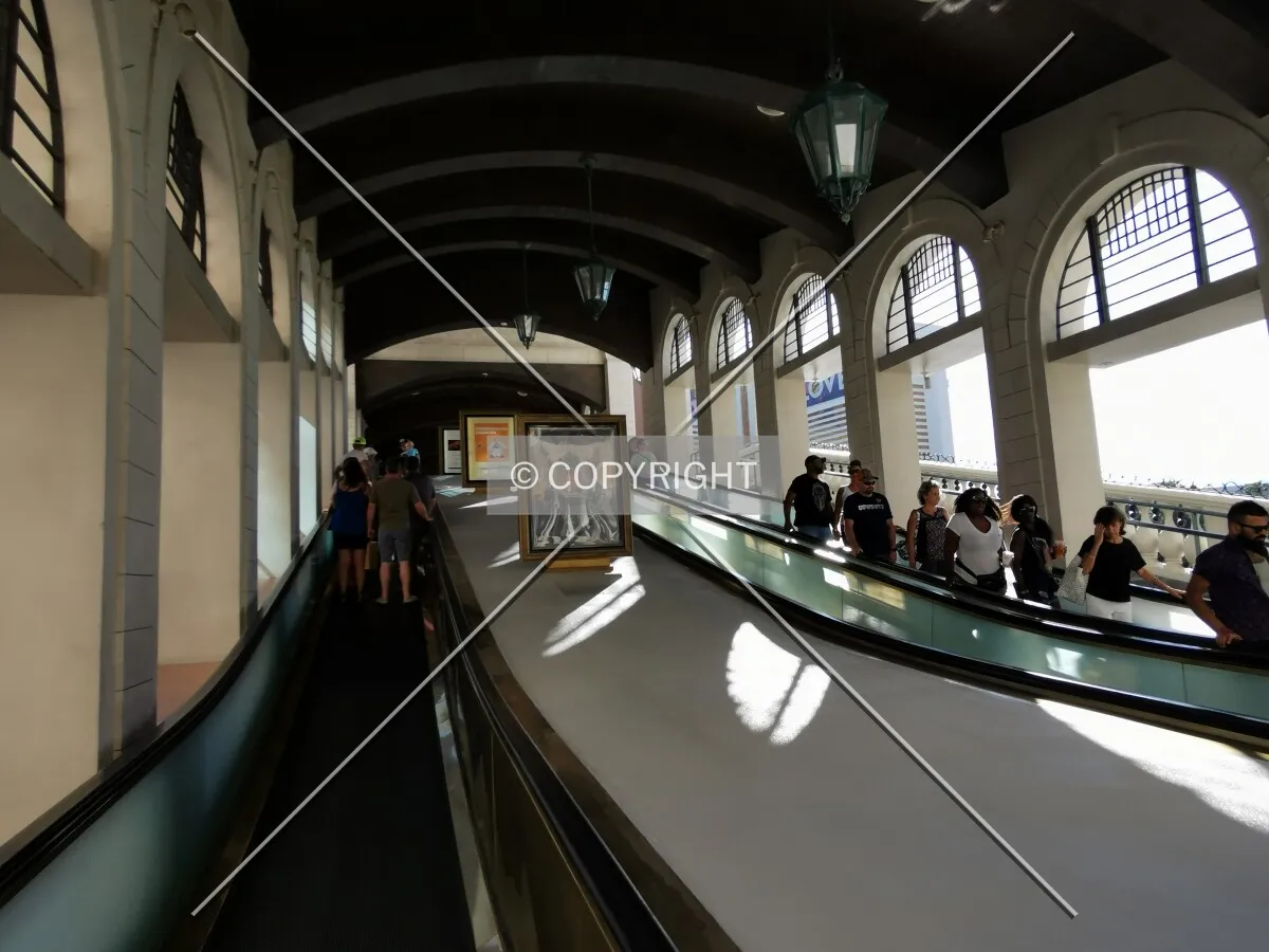 Photo 121-783-407