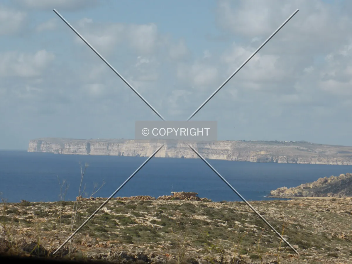 Photo 121-903-641