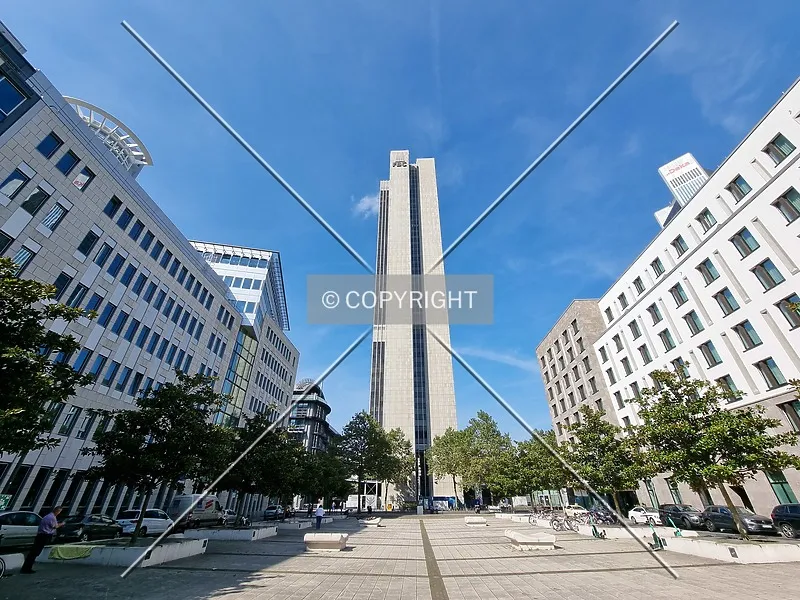 Photo 122-290-123