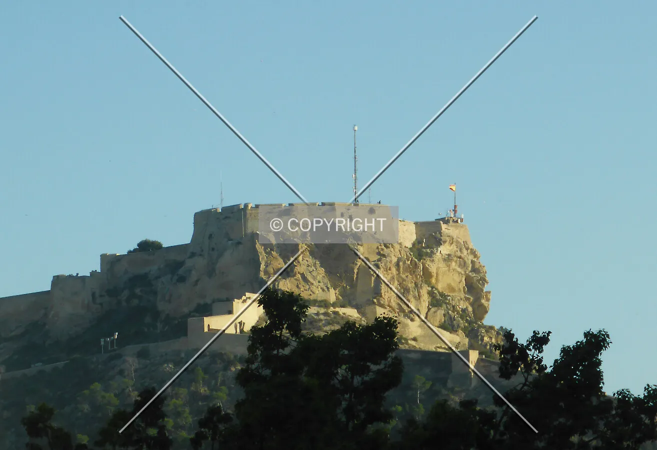 Photo 122-297-811