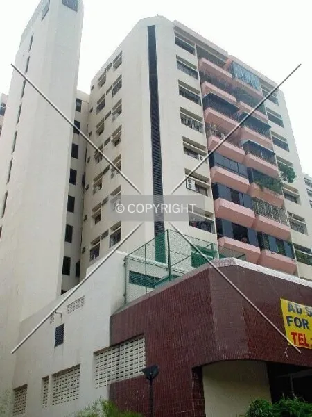 Photo 122-356-329