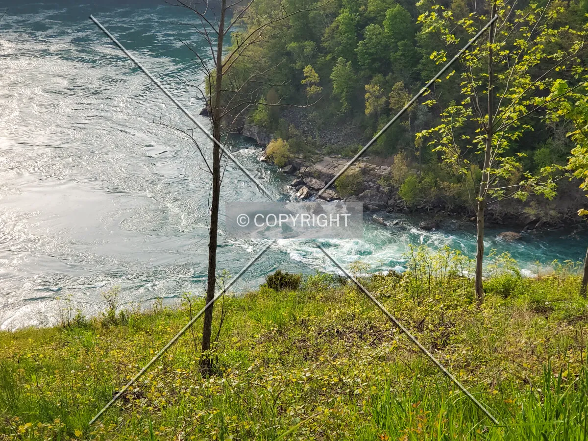 Looking out at the Niagara River; May 23, 2020