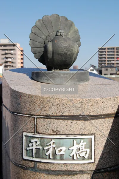 Photo 122-503-082