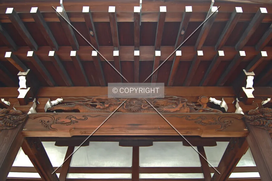Photo 122-891-877