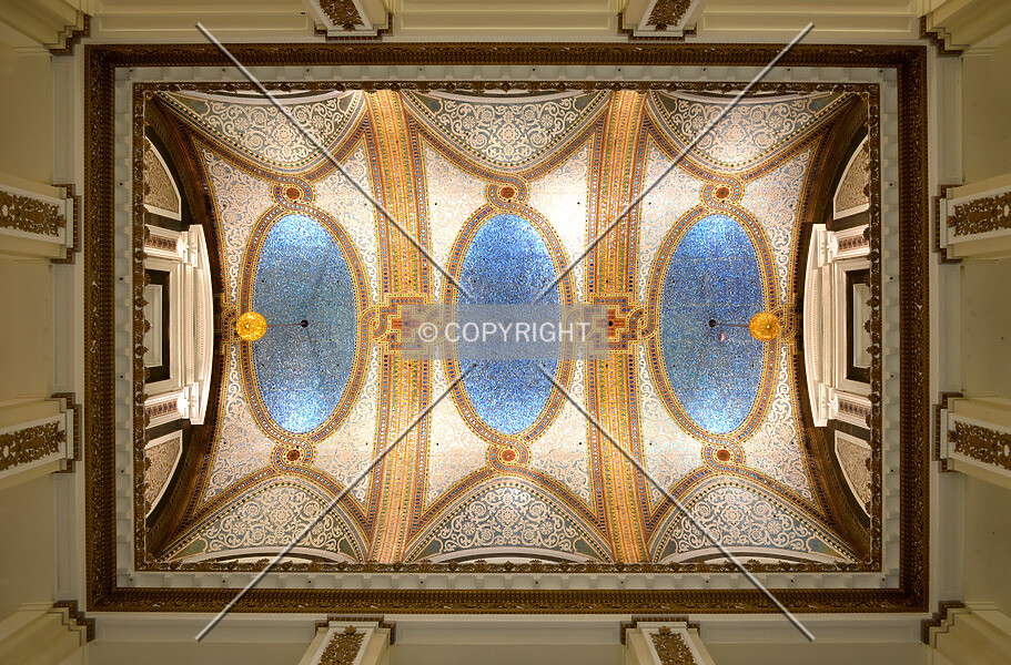 Photo 123-002-513