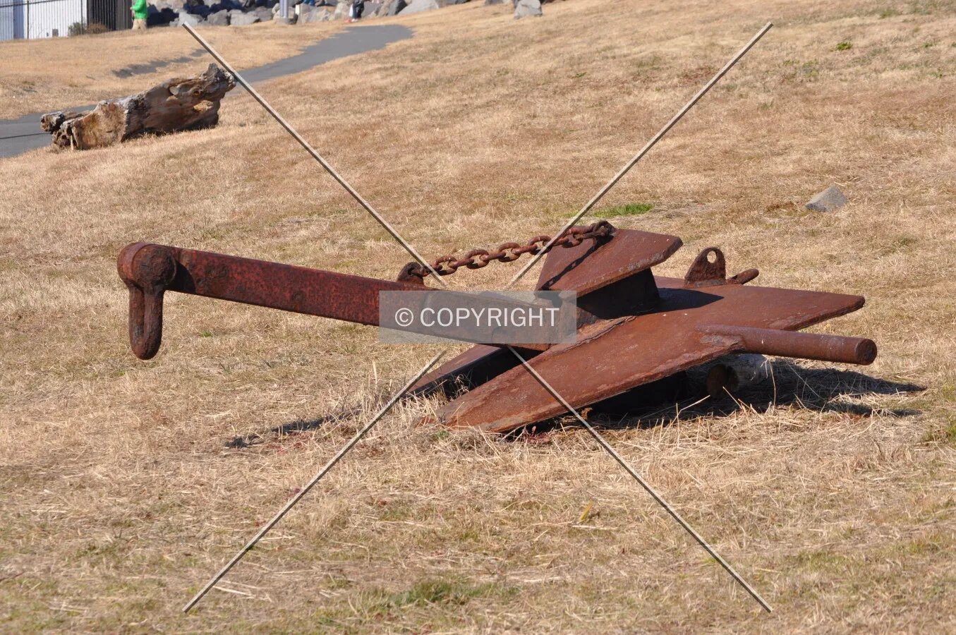Photo 123-433-612