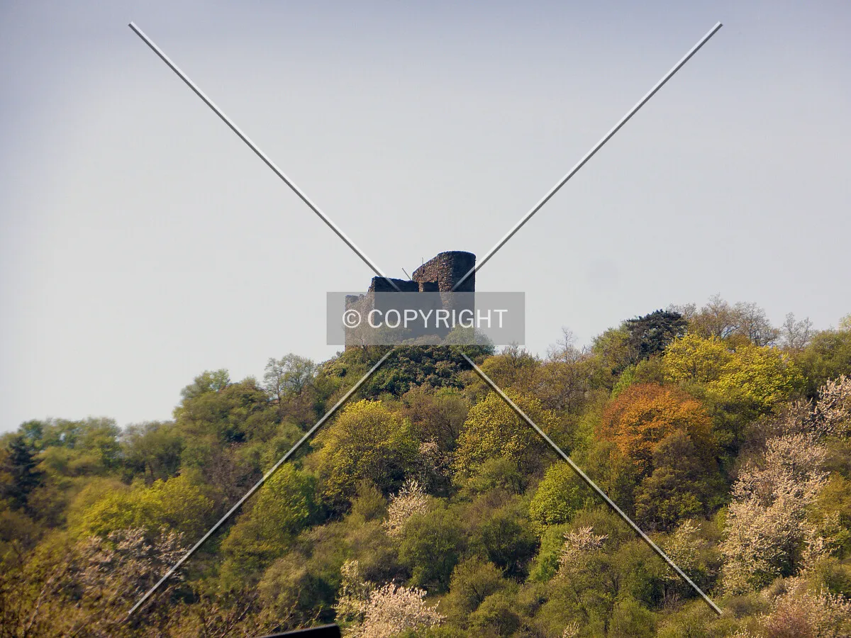 Photo 123-517-113