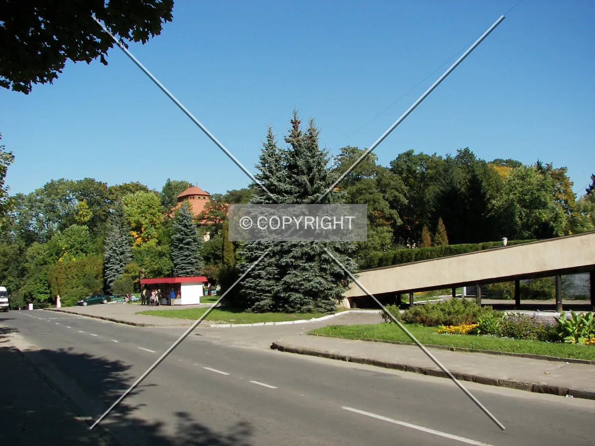 Looking towards the Forestry University
