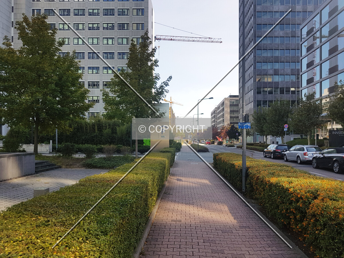 Photo 123-599-776