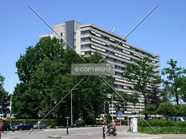 View from the southeast